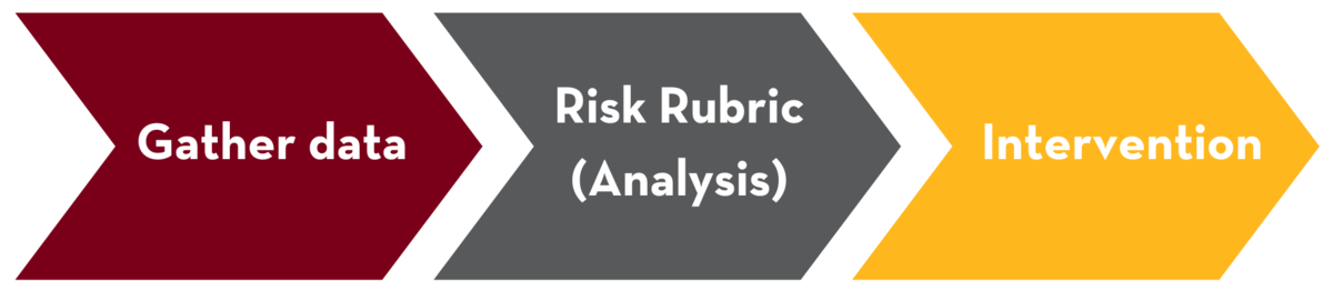 Progression graphic with right-pointing arrows illustrating the following steps: gather data, risk rubric/analysis, and intervention.